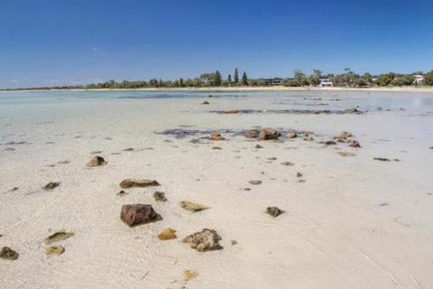 Bottlebrush - Sunshine Coast Guide 4