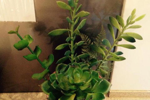 Two Up On York - Sunshine Coast Guide 1