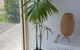 Beach Holiday Apartments Motel - thumb 5