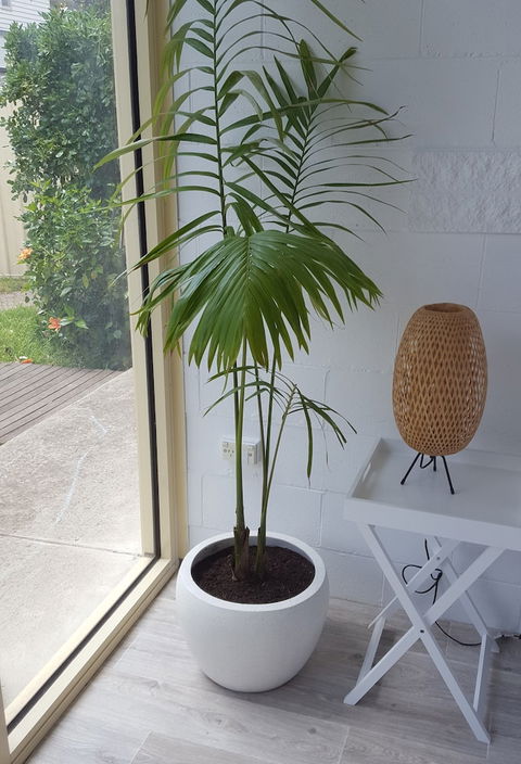 Beach Holiday Apartments Motel - Sunshine Coast Guide 5