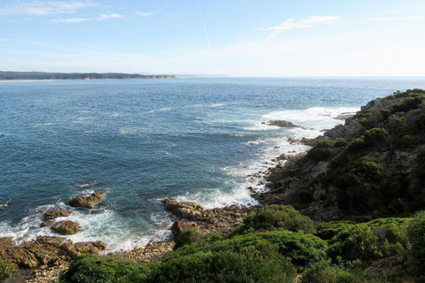 Tathra Hotel & Motel - Sunshine Coast Guide 5
