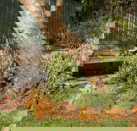 Spencer Cottage - Sunshine Coast Guide