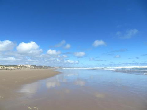 Arthur Riverfront & Sea Lodge Downstream - Sunshine Coast Guide 0