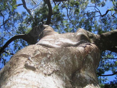 Arthur Riverfront & Sea Lodge Downstream - Sunshine Coast Guide 4
