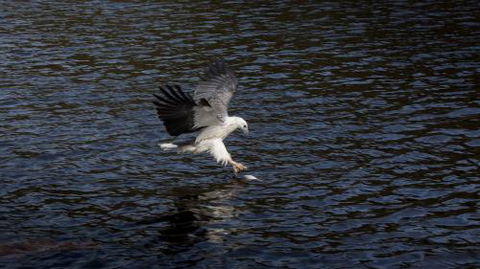 Arthur Riverfront & Sea Lodge Downstream - Sunshine Coast Guide 3