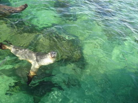 Acaciabnb - Sunshine Coast Guide 5