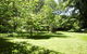 Elms On Delany - thumb 5