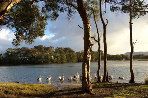 Lakehouse On Oxley - Sunshine Coast Guide 2