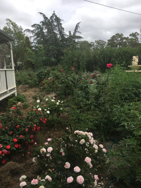 Saboâ€™s On Severn - Sunshine Coast Guide 3