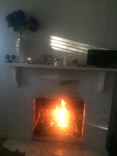 The Cute Beach House - Sunshine Coast Guide 5