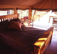 Jabiru Safari Lodge - Sunshine Coast Guide
