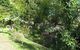 Westella Colonial B&B - thumb 6