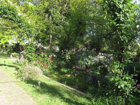 Westella Colonial B&B - Sunshine Coast Guide 6