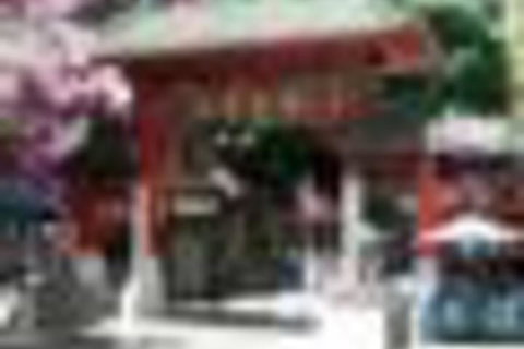 The Harbour Phoenix - Sunshine Coast Guide 4