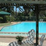 The Tree Motel - Sunshine Coast Guide 0