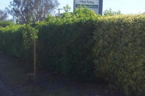 Glenndale Park Motel - Sunshine Coast Guide 4