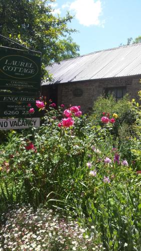 Laurel Cottage - Sunshine Coast Guide 5