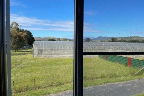Alexanders' Of Richmond - Sunshine Coast Guide 7