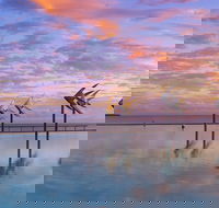 Global Backpackers Cairns - Sunshine Coast Guide