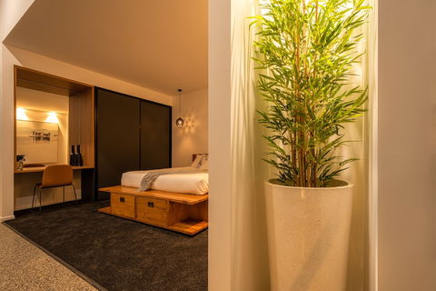 The Cove Tasmania - Sunshine Coast Guide 5