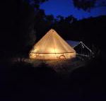 Glamping at Zeehan Bush Camp - Sunshine Coast Guide