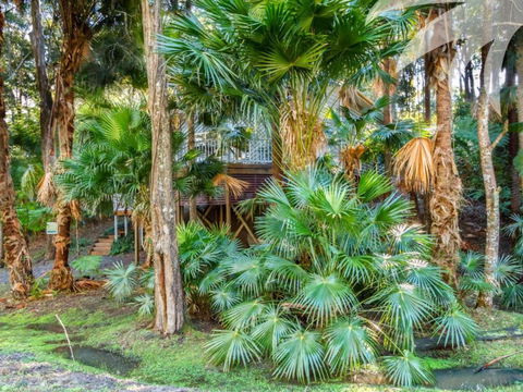 Araluen - Sunshine Coast Guide 6