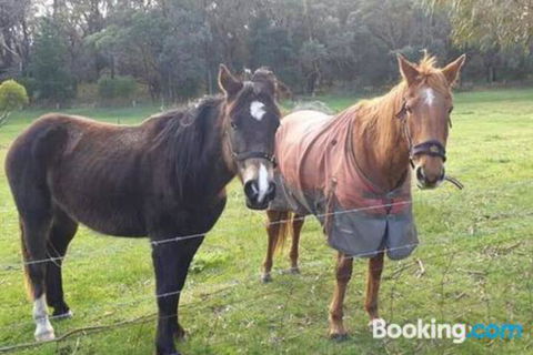 Heritage Bed & Breakfast - Sunshine Coast Guide 3