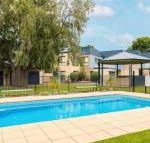 Penguins by the Beach - Sunshine Coast Guide