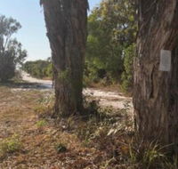 COONARR BEACH  BUNDABERG CAMPING - Sunshine Coast Guide
