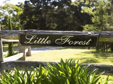 THE ANGAS CARRIAGE Alpine Southern Highlands 4pm Check Out On Sundays - Sunshine Coast Guide 5