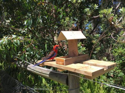 Rosella Cottage Waratah Bay - Sunshine Coast Guide 1