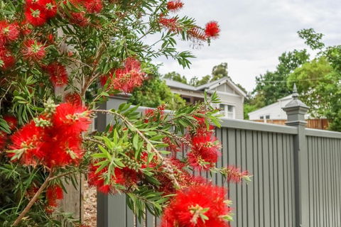 Vintage Charm On St. Leonards - Sunshine Coast Guide 5