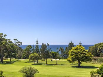 Seashells - Sunshine Coast Guide 6