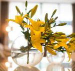 KUI Manhattan Apartments - Sunshine Coast Guide