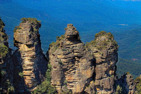 Blue Mountain Motel - Sunshine Coast Guide 6