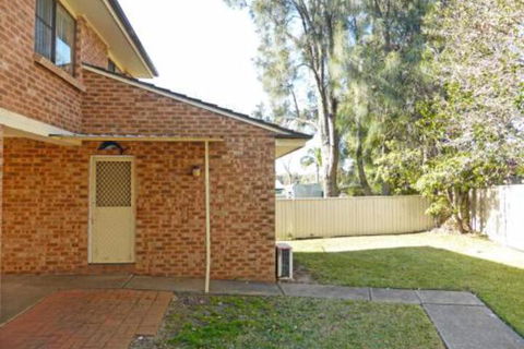 Dolphins Delight At Culburra Beach - Sunshine Coast Guide 5