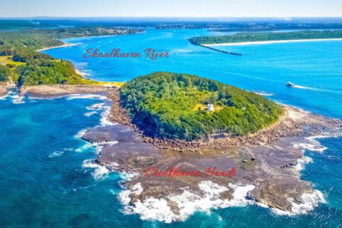 Dolphins Delight At Culburra Beach - Sunshine Coast Guide 4