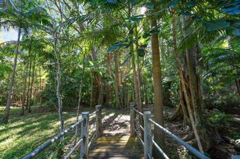 Paperbark - Sunshine Coast Guide 1