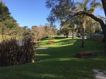 Albany Happy Days Caravan Park - Sunshine Coast Guide 6