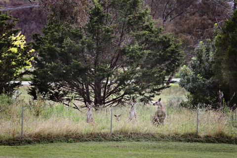 BATHURST GOLDFIELDS MOTEL On MOUNT PANORAMA - Sunshine Coast Guide 6