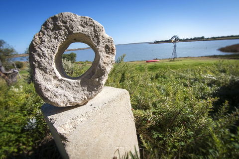 Jury Road Orchard - Sunshine Coast Guide 3