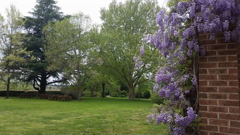 Petersons Armidale Winery & Guesthouse - Sunshine Coast Guide 0