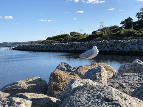 Albany Foreshore Guest House - Sunshine Coast Guide 3