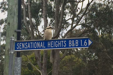 Sensational Heights Bed & Breakfast - Sunshine Coast Guide 2