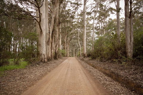 Sensational Heights Bed & Breakfast - Sunshine Coast Guide 1