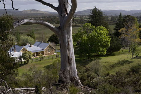 Brockley Estate - Sunshine Coast Guide 6