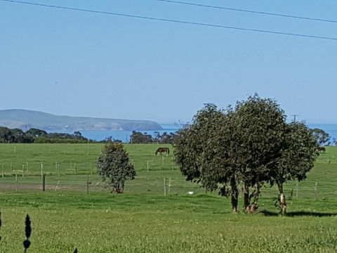 Dees Villa Bed & Breakfast - Sunshine Coast Guide 4