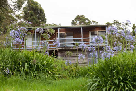 Bombina Cottages - Sunshine Coast Guide 0