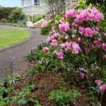 West Scottsdale TAS Sunshine Coast Guide