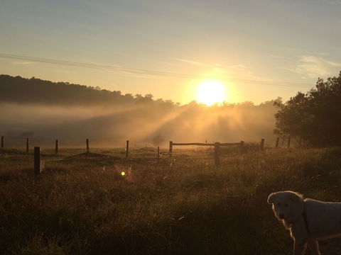 Bryn Glas Farm Stay - Sunshine Coast Guide 2